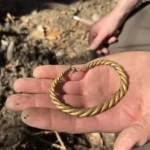 Археологи знайшли золото вікінгів завдяки двом кільцям, що стирчали із землі