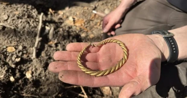 Археологи знайшли золото вікінгів завдяки двом кільцям, що стирчали із землі