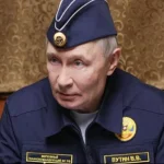 Косатки, ведмеді й щур: Ейдман розібрав образи, якими мислить Путін