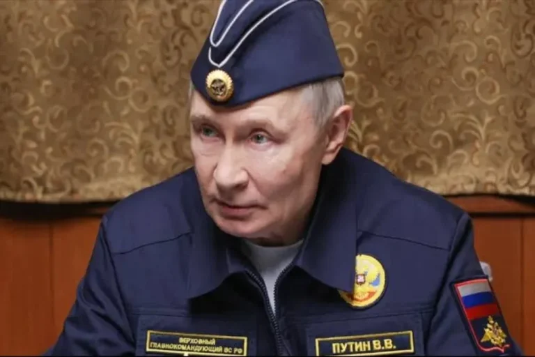 Косатки, ведмеді й щур: Ейдман розібрав образи, якими мислить Путін